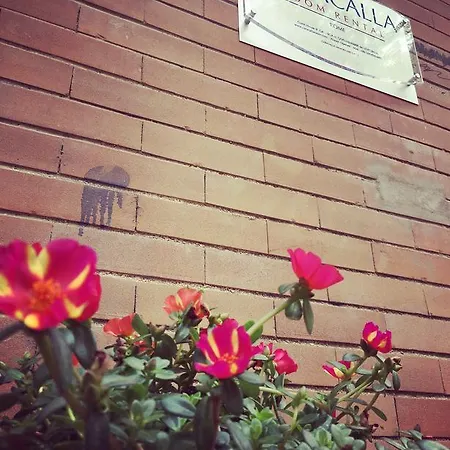 招待所 卡若卡拉租赁旅馆